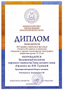 XIV краевого творческого фестиваля "Таланты без границ" 10-13 лет